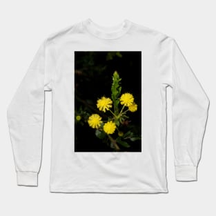 Hedge Wattle Long Sleeve T-Shirt